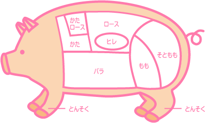 豚の部位には、かた、かたロース、ロース、ヒレ、バラ、もも、そともも、とんそくなどがあります。